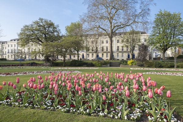 A garden with pink tulips and white flowers, surrounded by a building with multiple windows and doors.