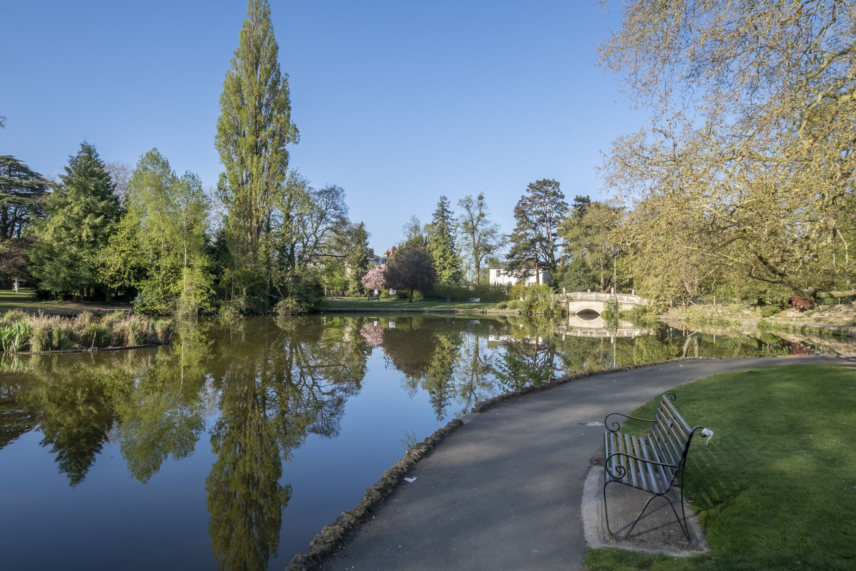 A park with a pond, a bridge, and a bench.