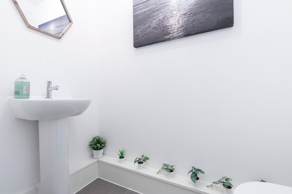 A bathroom with a white sink, a mirror, and a row of potted plants on a shelf.