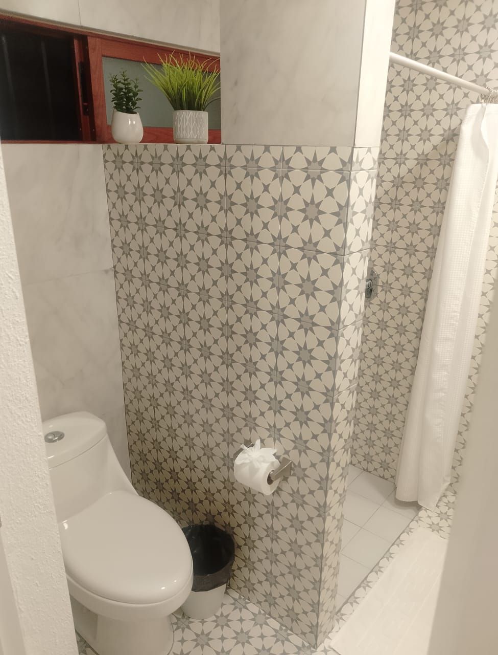Une salle de bain avec des toilettes, une douche dont le mur est recouvert de carreaux décoratifs, et une petite étagère avec des plantes.