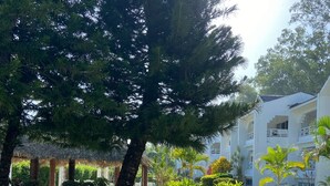 A paved pathway leading to a building with a thatched-roof structure. - Cozy 2-bedroom condo in awesome Sosúa with AC, WiFi, and a gorgeous pool
 (Sosúa)