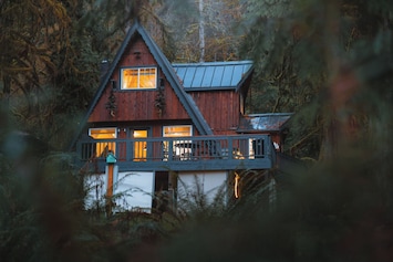 Our cozy cabin is secluded in the forest
