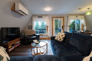 Smart TV, fireplace, books