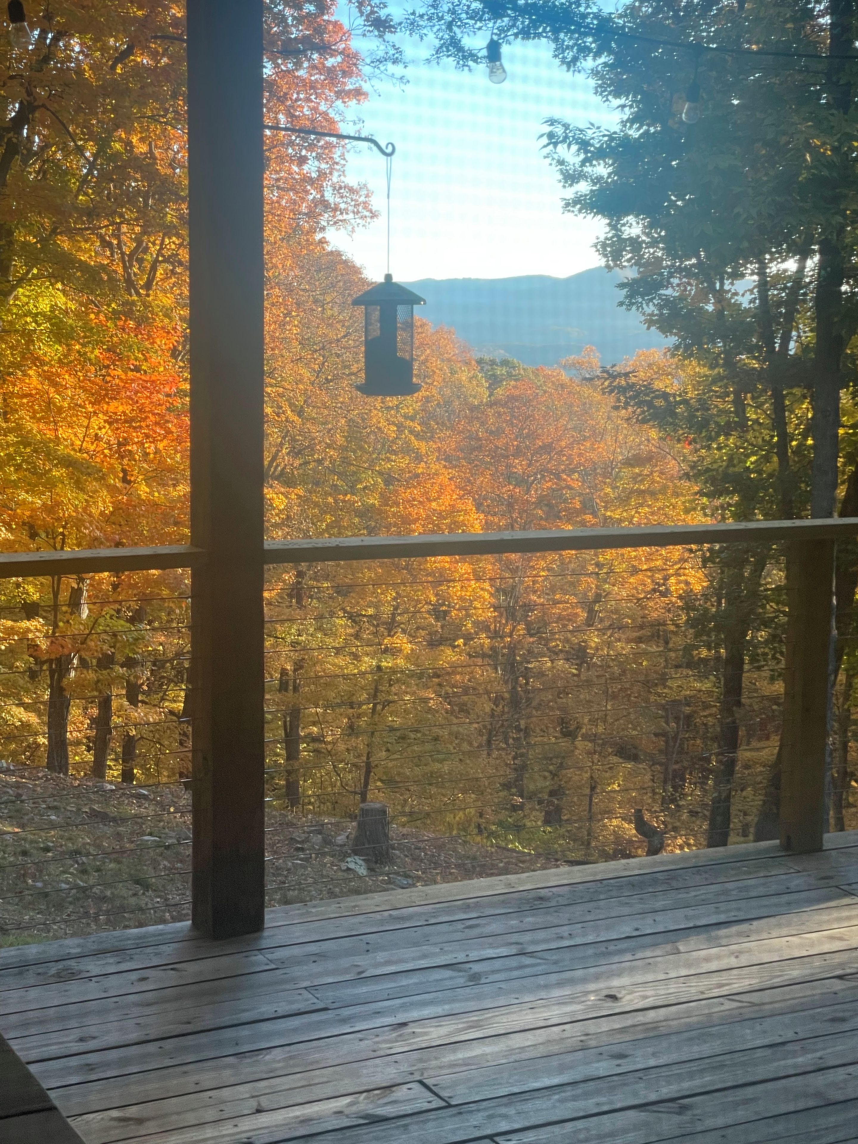A wooden deck with a metal railing overlooking a forested area with autumn foliage.