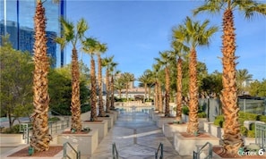 A pathway lined with palm trees leading to a building with a fountain.