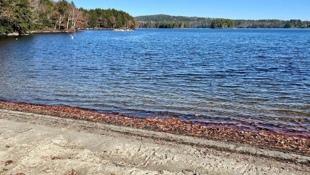 Ein See mit sandigem Ufer und Bäumen im Hintergrund.