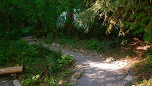 A gravel path surrounded by dense greenery and rocks.