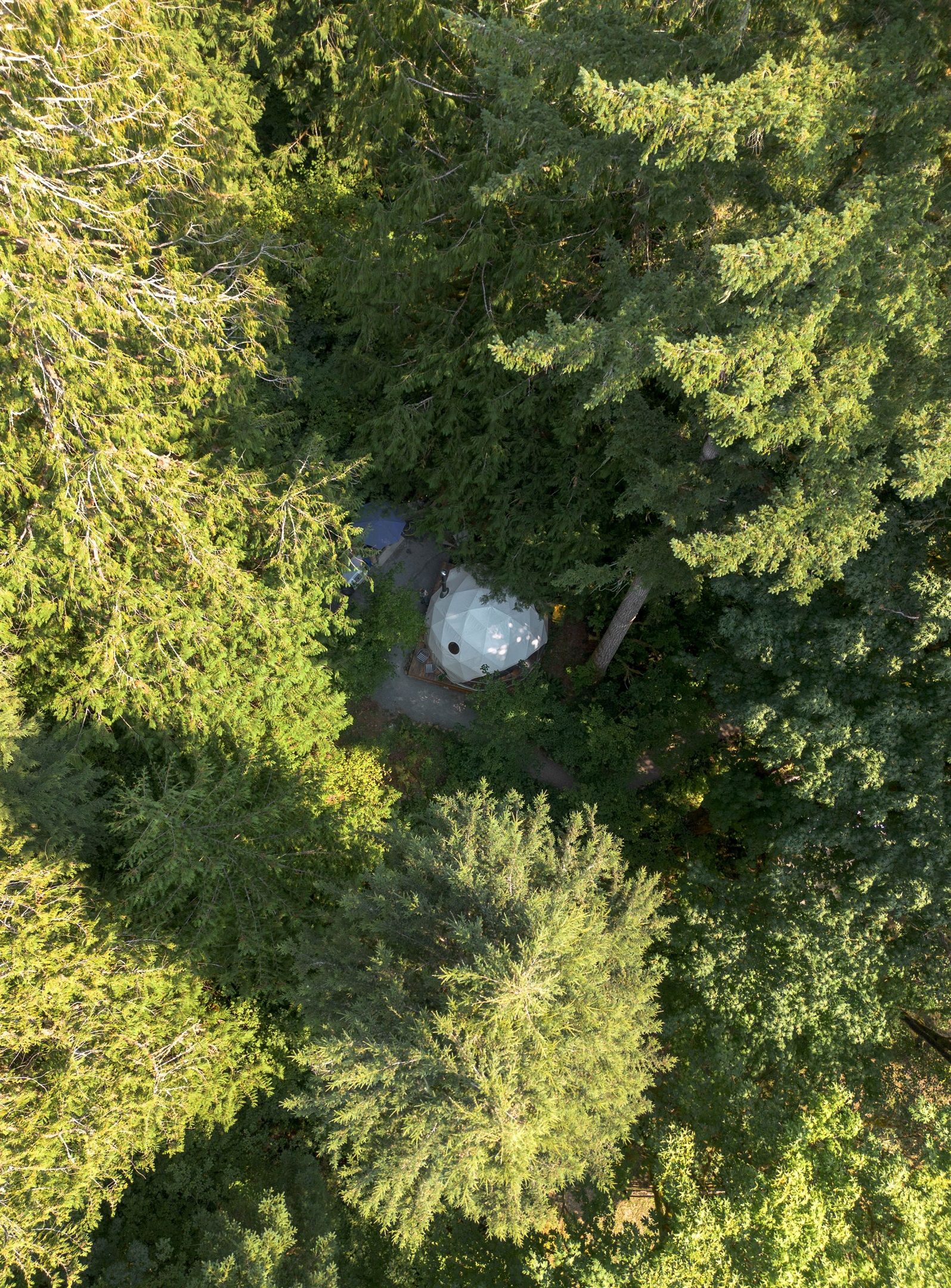 Vista aérea de una zona boscosa con una estructura esférica rodeada de árboles densos.