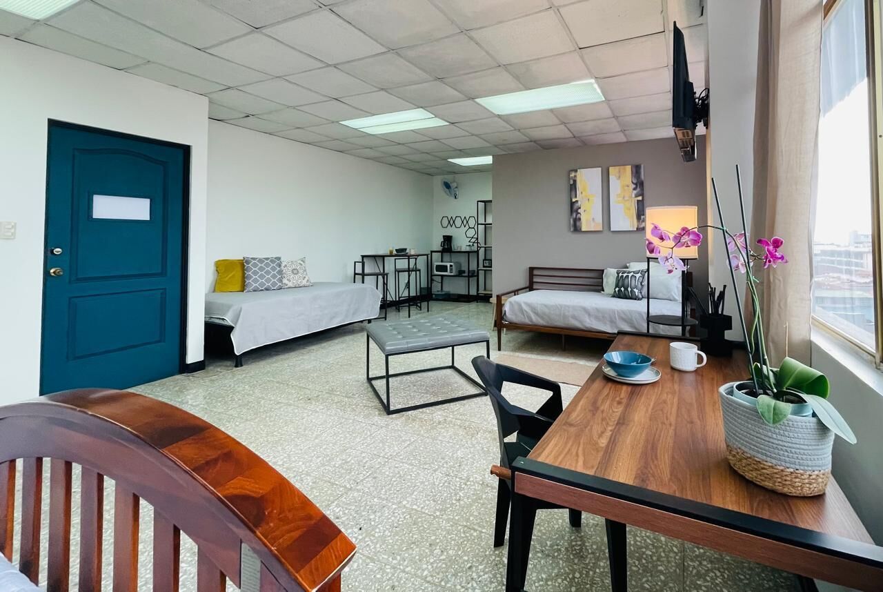 A dormitory room with two beds, a dining table, a chair, a TV, a window with curtains, and a plant.