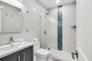 Shower, hair dryer