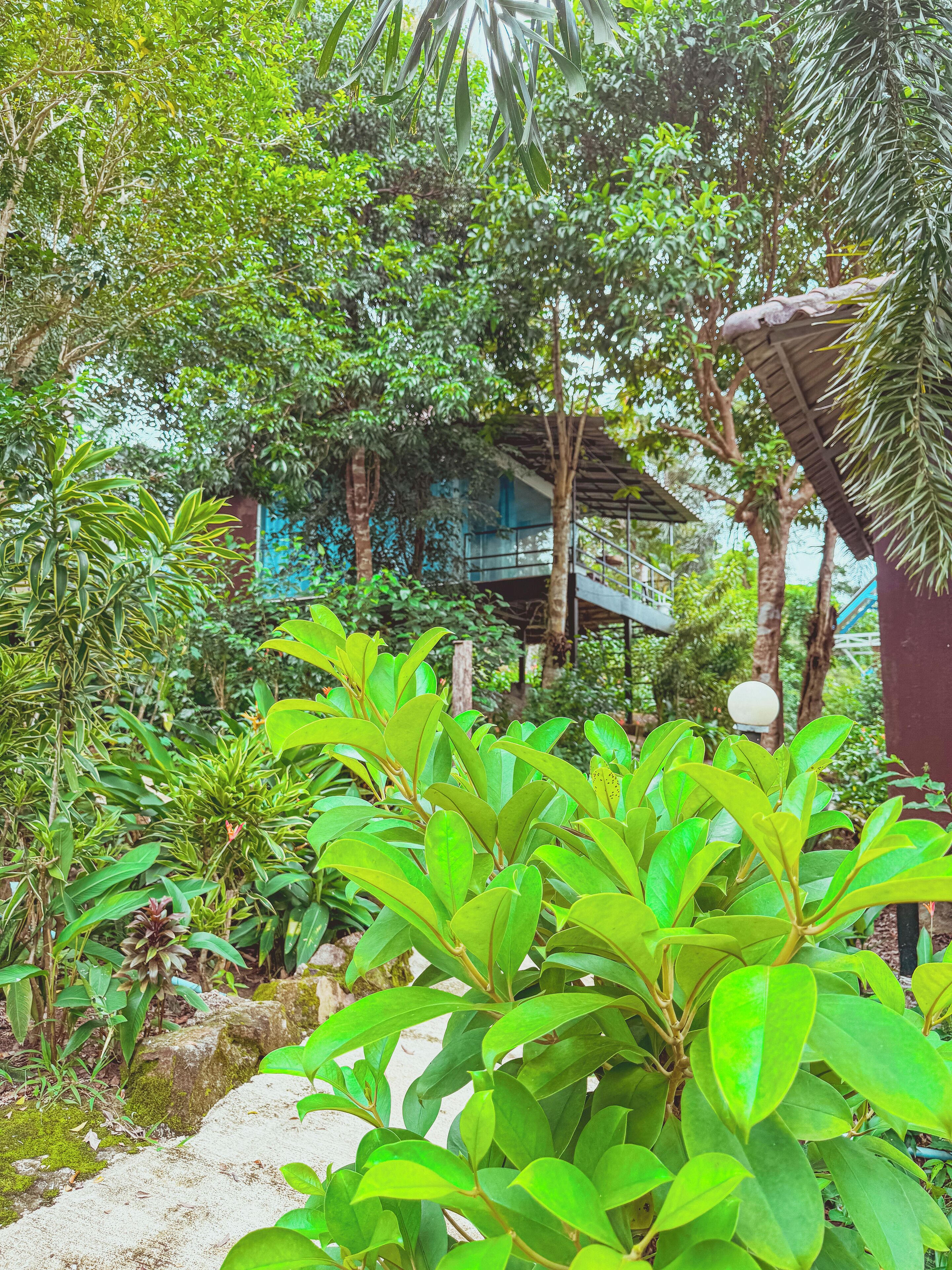 Standard Bungalow, Balcony, Garden View | Free WiFi