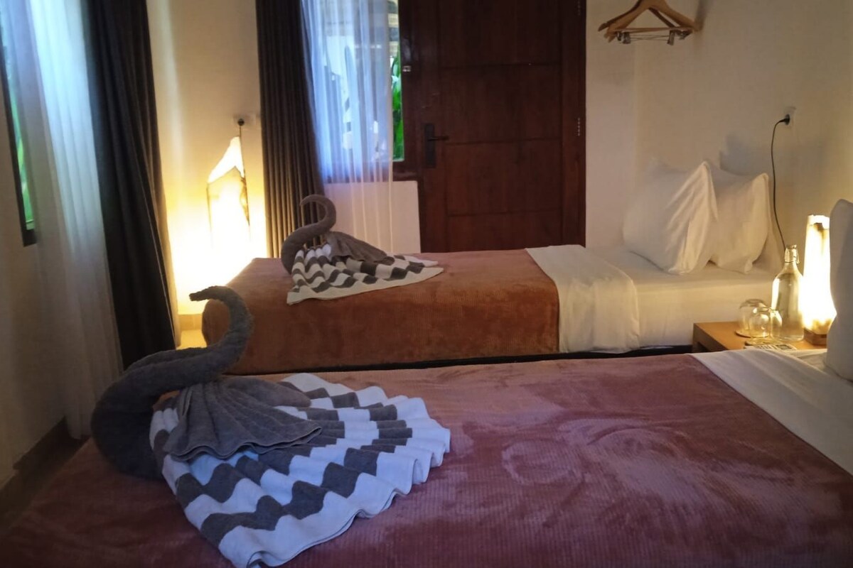 Double or Twin Room