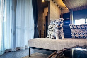 Interior - Grand Opening Limited Time 20 OFF Building 2B / Nago Okinawa (Nago)