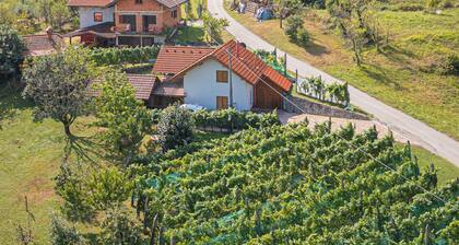 Rainbow Cottage In The Vineyards, DragatuĆĄ, Slovenia