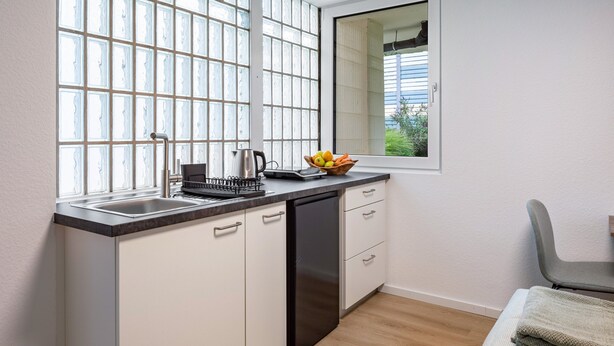 A compact kitchen with a window, a sink, a dishwasher, and a fruit bowl on the counter. - Studio Apartment 'Schlatt' with Wi-Fi (Bad Krozingen)