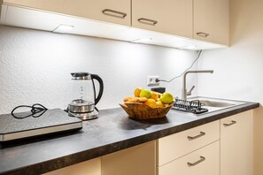 Fridge, stovetop, coffee/tea maker, electric kettle - Studio Apartment 'Belchen' with balcony and Wi-Fi (Bad Krozingen)