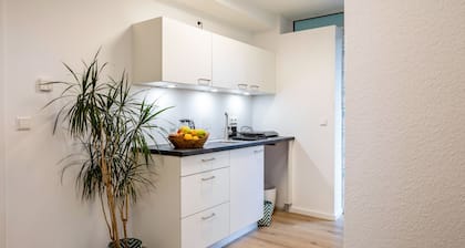 Einzimmerapartment 'Feldberg' mit Balkon und Wi-Fi