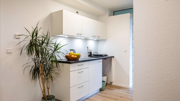 Une cuisine moderne avec des meubles blancs, un plan de travail noir et une plante en pot.