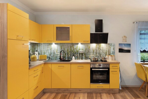 Microwave, oven, stovetop, dishwasher