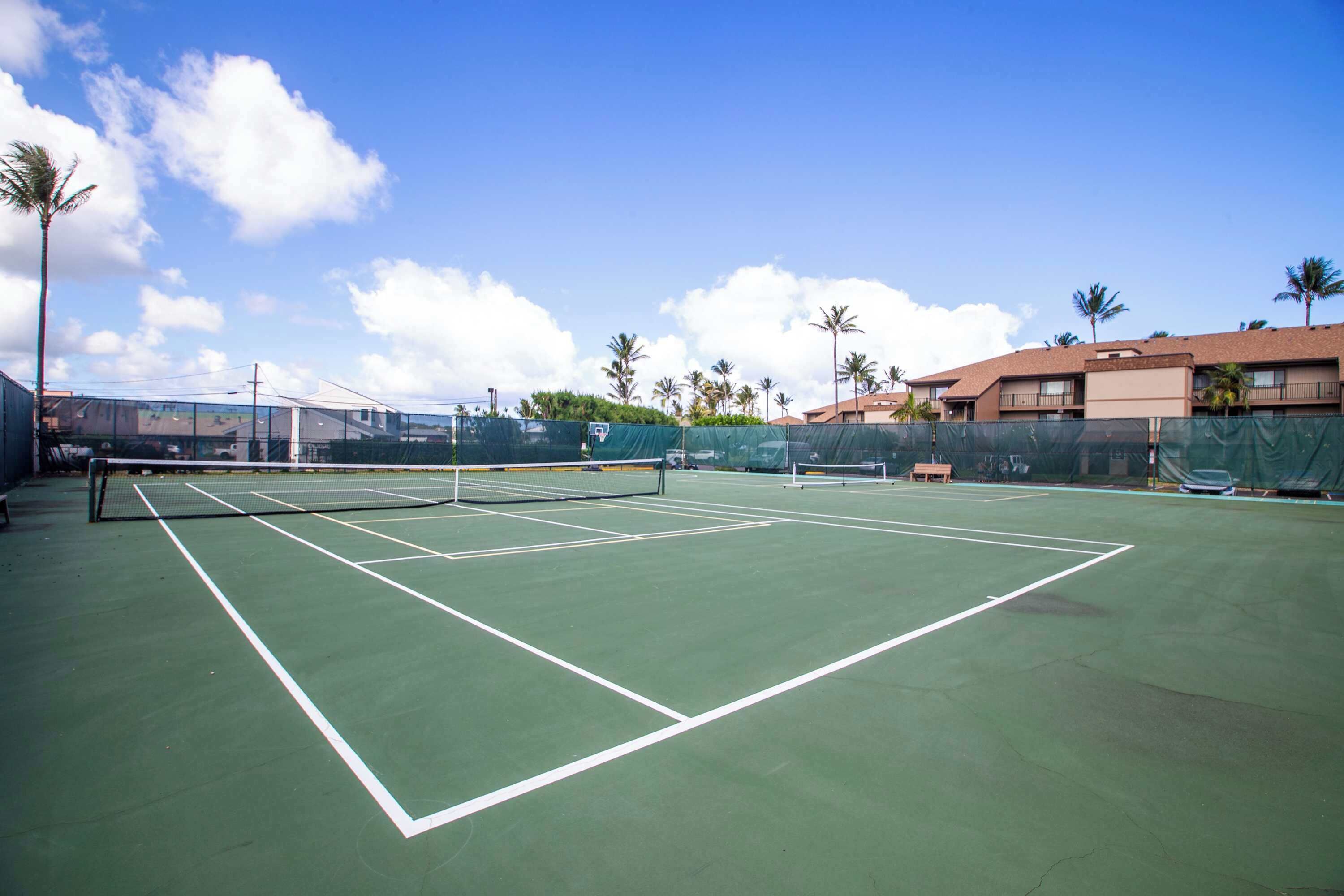 A tennis court with a net, surrounded by palm trees and buildings.