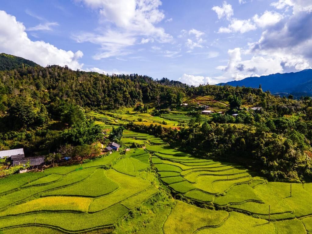 Terraced rice fields with a village nestled among the hills.