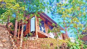 Una cabaña de madera con un sendero de piedra que lleva hasta ella, rodeada de árboles y follaje.