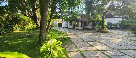 A courtyard with a paved walkway, surrounded by lush greenery and a traditional building with a tiled roof.