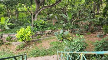 Área da propriedade