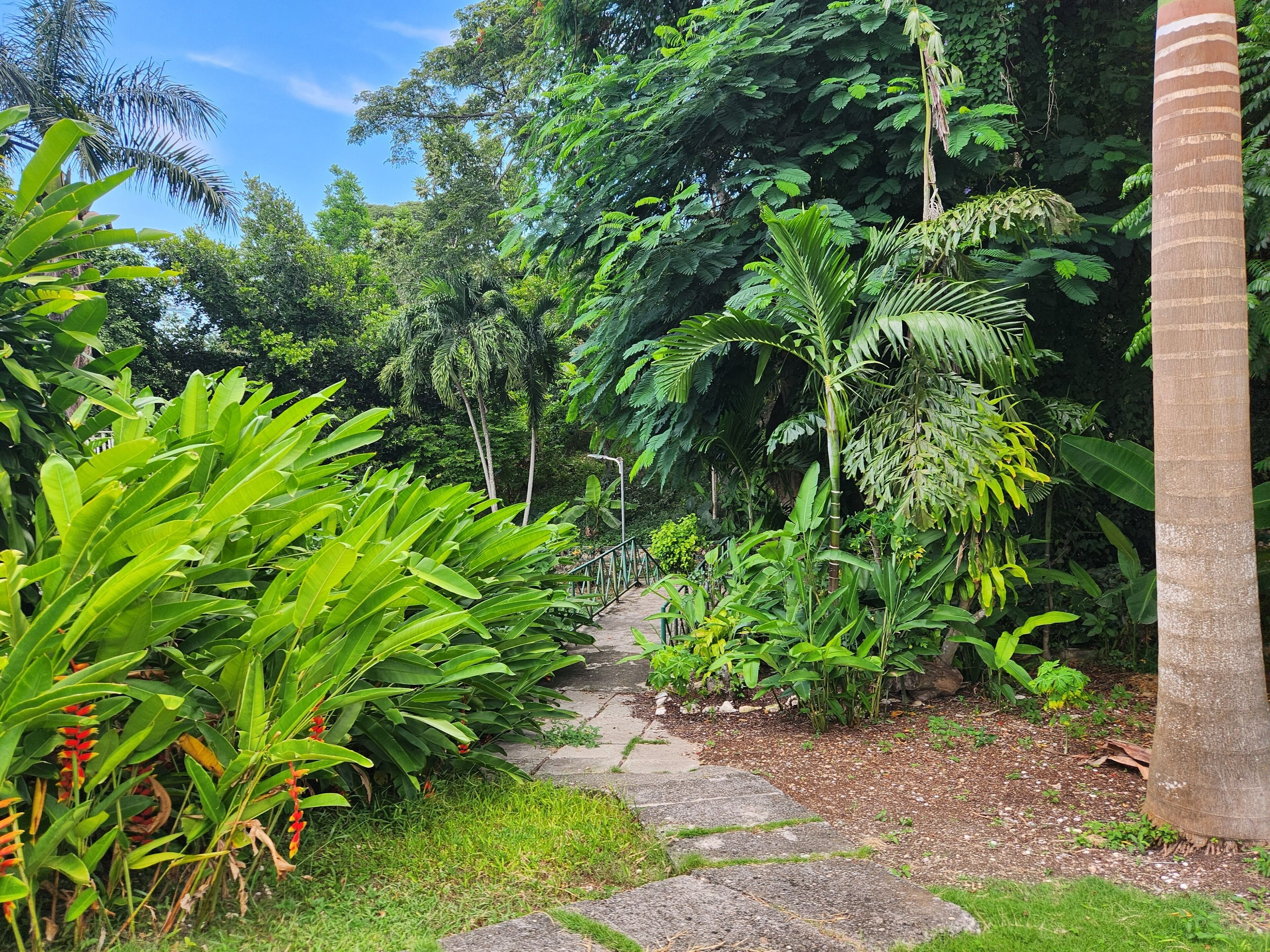 Áreas de la propiedad