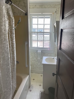 Shower, hair dryer, soap, toilet paper