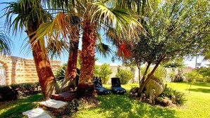 Un jardin bien entretenu, agrémenté de palmiers, d’un mur en pierre et d’une zone dallée avec des chaises longues.