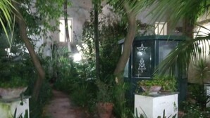 A garden pathway surrounded by lush greenery and potted plants. - La Casa di Giulia By Dimorra (Napoli)