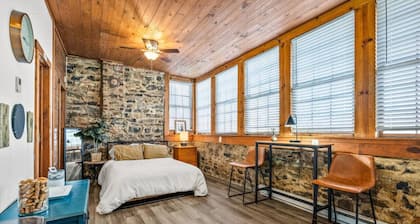 Dog-Friendly Downtown Studio — Walk to Park, Shops