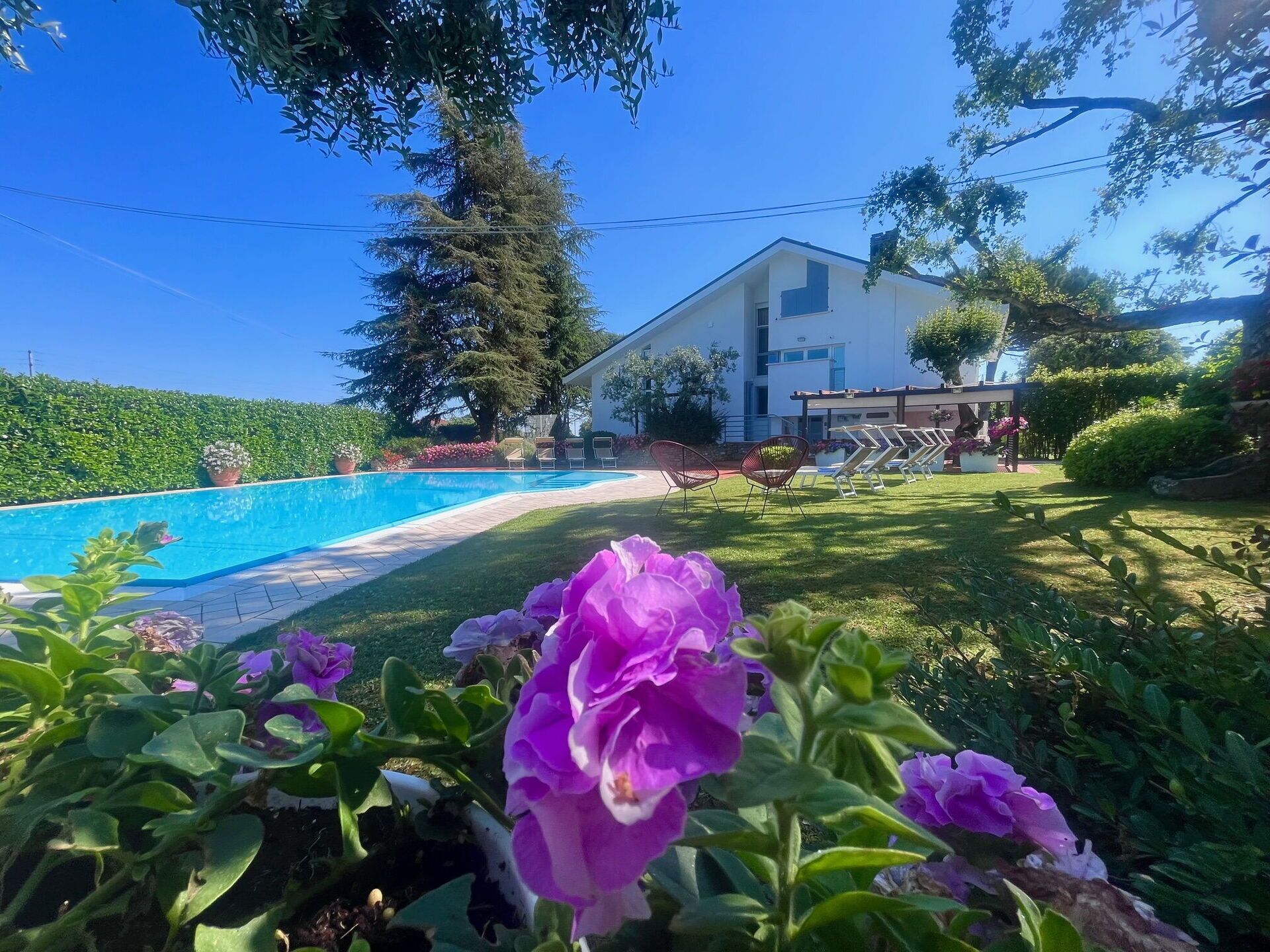 Une piscine avec une pelouse et un bâtiment en arrière-plan.