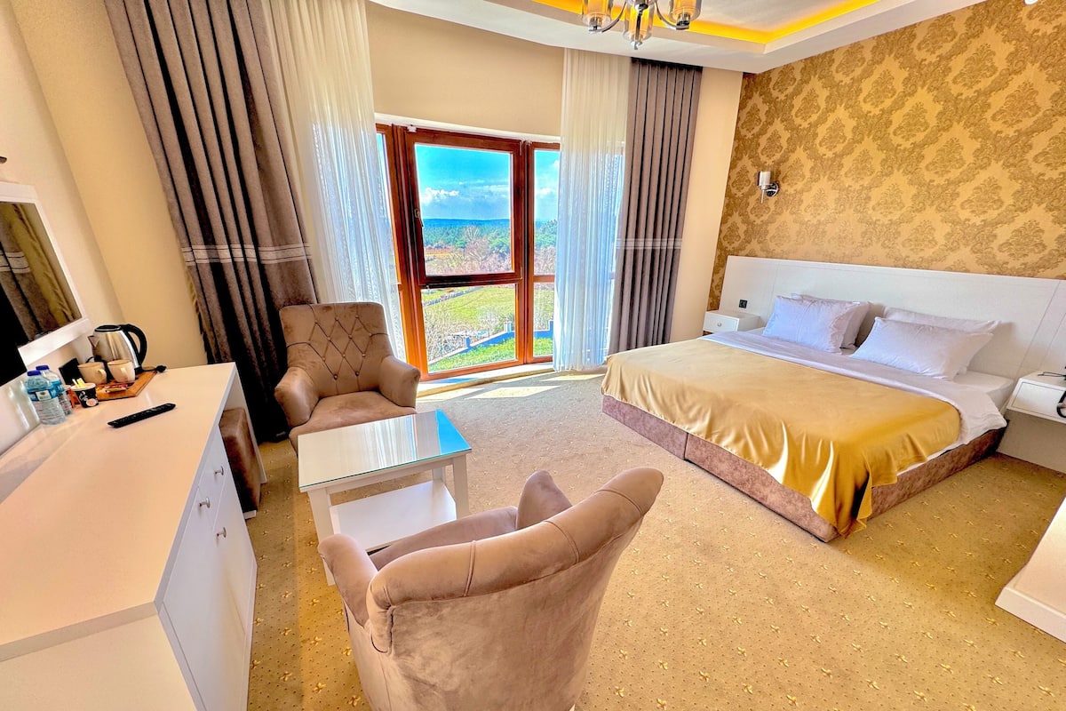 Minibar, caja de seguridad en la habitación y escritorio