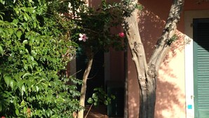 A tree-lined courtyard with a building entrance and a green door. - Li Velieri 6 pax Pool & Private Garden (Santa Teresa Gallura)