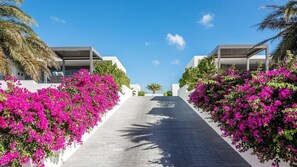 Property grounds - Luxury villa with private pool and walking distance to the beach (Jan Thiel)