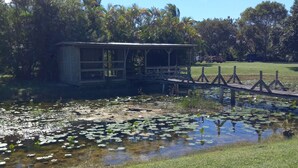 A small wooden structure with a roof, surrounded by a grassy area and a pond with lily pads. - 
Private 5-Acre Retreat in Rustic Ranches with Modern Country Comfort (Wellington)