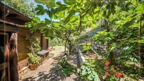 A wooden cabin with a stone wall and a garden with trees and flowers.