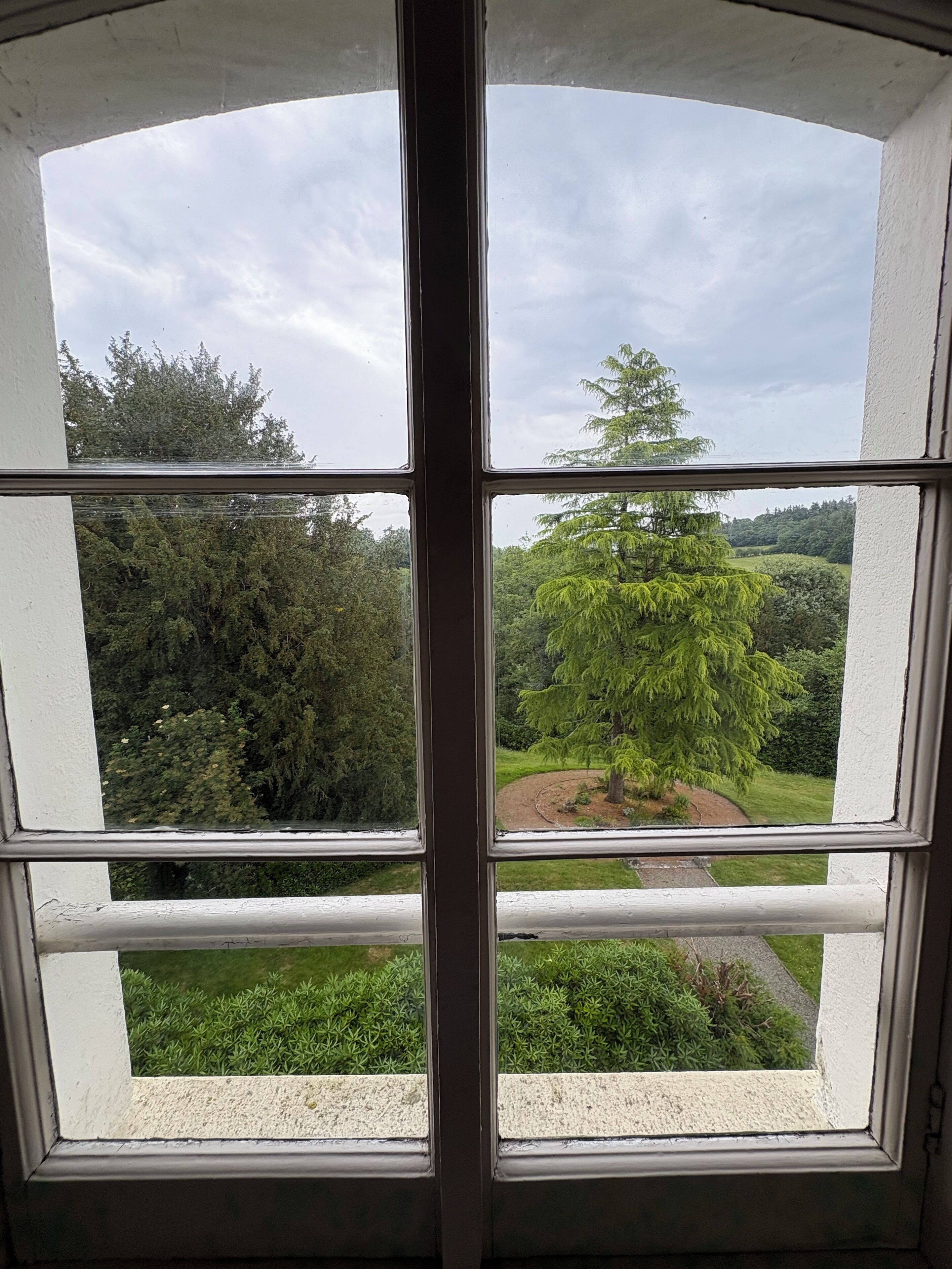 Une fenêtre donnant sur un jardin et des arbres.