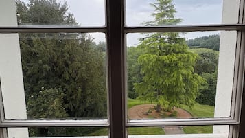 Une fenêtre donnant sur un jardin et des arbres.