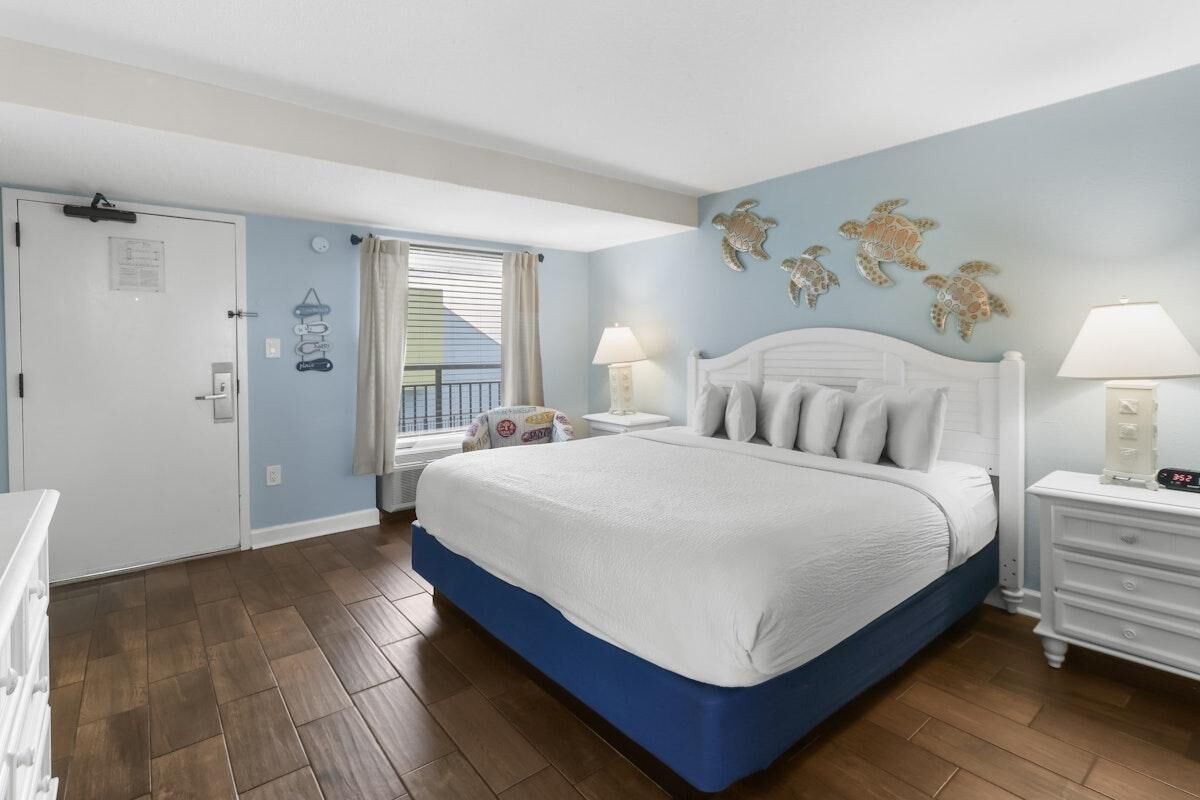 A bedroom with a large bed, a window with curtains, a nightstand with a lamp, and a wall with turtle decorations.