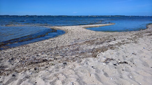 Una playa con restos y algas dispersas, que da a aguas tranquilas con barcos a lo lejos.