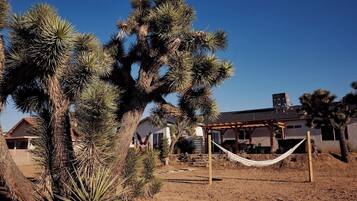 Shower, hair dryer, soap, shampoo