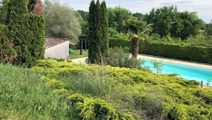 Ein Pool, umgeben von üppiger Vegetation und hohen Bäumen.