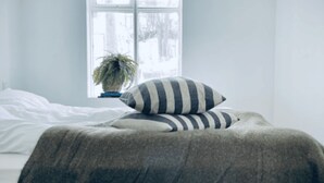 Un dormitorio con una cama, una ventana y una planta.