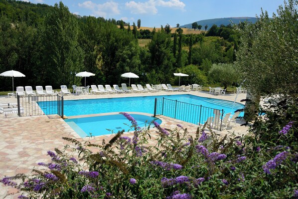 A swimming pool with white lounge chairs and umbrellas, surrounded by greenery and hills in the background. - Cozy three-room apartment in the Umbrian countryside. (Umbria)