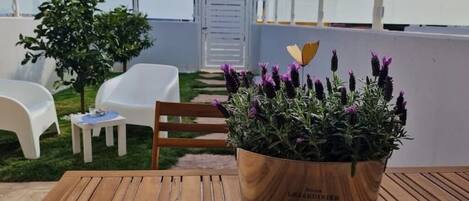 Terrein van de accommodatie