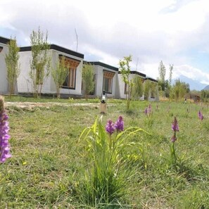 Front of property - Sky View Resort (Leh)