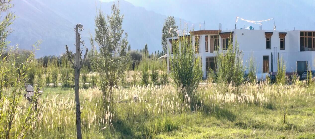 Un edificio moderno con fachada blanca, rodeado por un campo cubierto de césped y vegetación escasa.